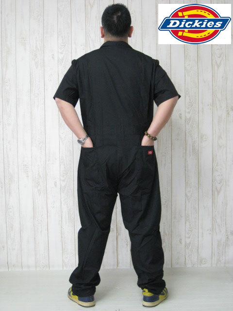 ���礭����������DICKIES�ʥǥ��å������ˣãϣ֣ţң��̡̣�Ⱦµ��