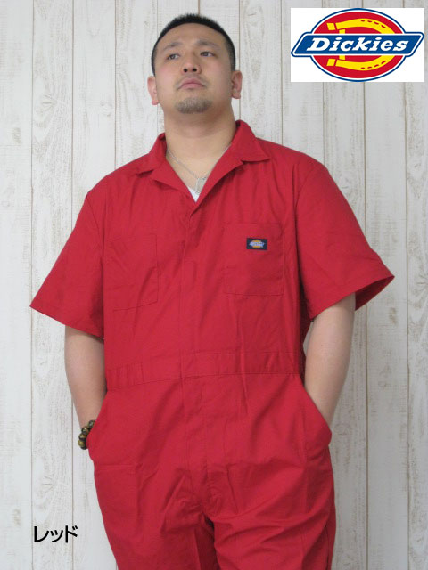 ���礭����������DICKIES�ʥǥ��å������ˣãϣ֣ţң��̡̣�Ⱦµ��